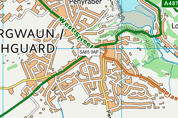 SA65 9AP map - OS VectorMap District (Ordnance Survey)