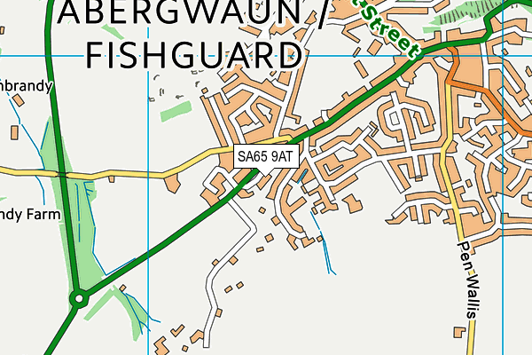 SA65 9AT map - OS VectorMap District (Ordnance Survey)