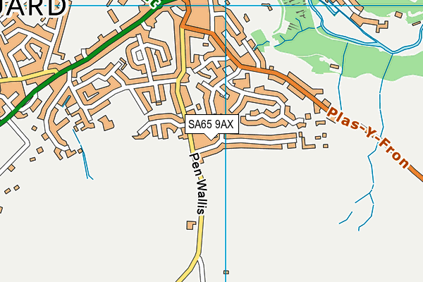 SA65 9AX map - OS VectorMap District (Ordnance Survey)