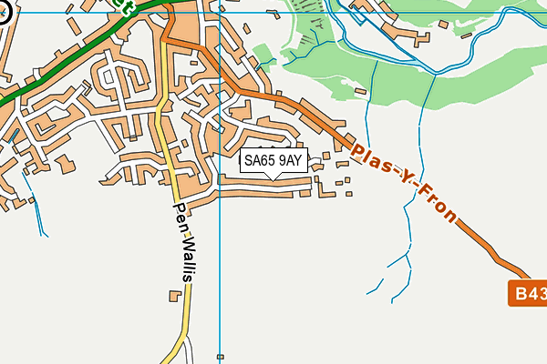 SA65 9AY map - OS VectorMap District (Ordnance Survey)