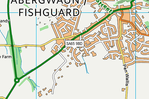 SA65 9BD map - OS VectorMap District (Ordnance Survey)