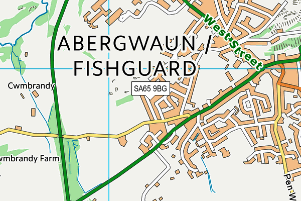 SA65 9BG map - OS VectorMap District (Ordnance Survey)