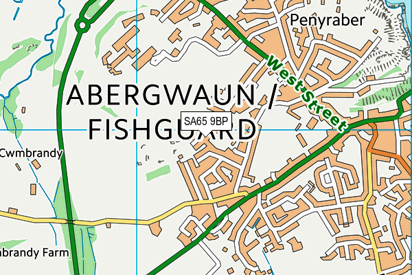 SA65 9BP map - OS VectorMap District (Ordnance Survey)