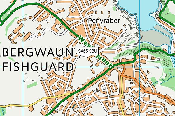 SA65 9BU map - OS VectorMap District (Ordnance Survey)