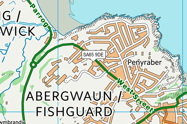 SA65 9DE map - OS VectorMap District (Ordnance Survey)