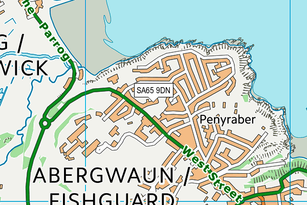 SA65 9DN map - OS VectorMap District (Ordnance Survey)