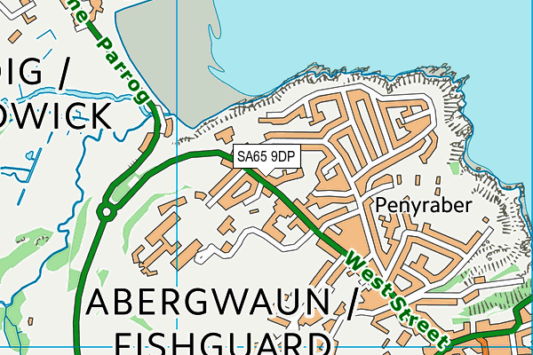 SA65 9DP map - OS VectorMap District (Ordnance Survey)