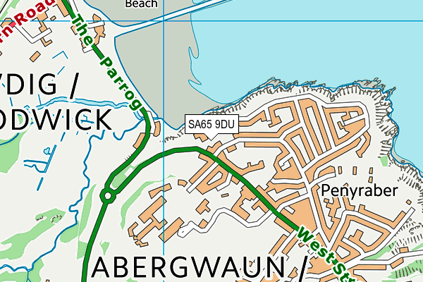 SA65 9DU map - OS VectorMap District (Ordnance Survey)