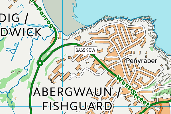 SA65 9DW map - OS VectorMap District (Ordnance Survey)