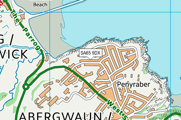 SA65 9DX map - OS VectorMap District (Ordnance Survey)