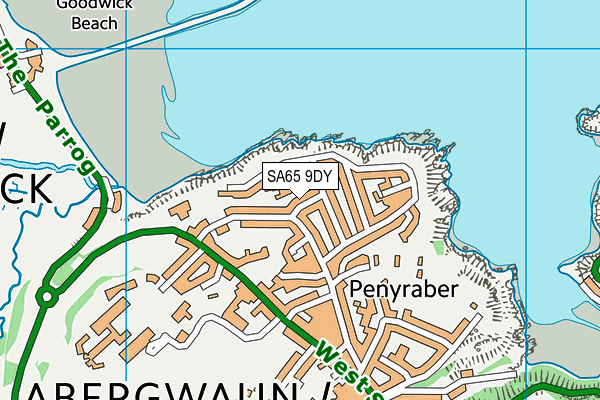 SA65 9DY map - OS VectorMap District (Ordnance Survey)