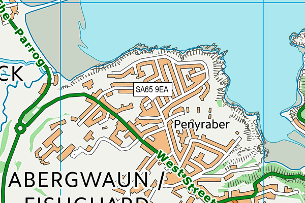 SA65 9EA map - OS VectorMap District (Ordnance Survey)