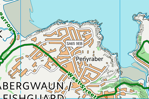 SA65 9EB map - OS VectorMap District (Ordnance Survey)