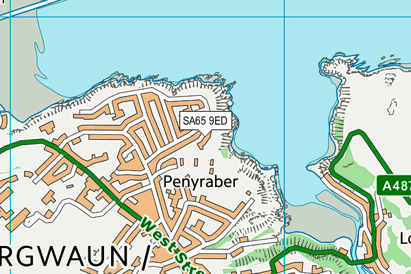 SA65 9ED map - OS VectorMap District (Ordnance Survey)