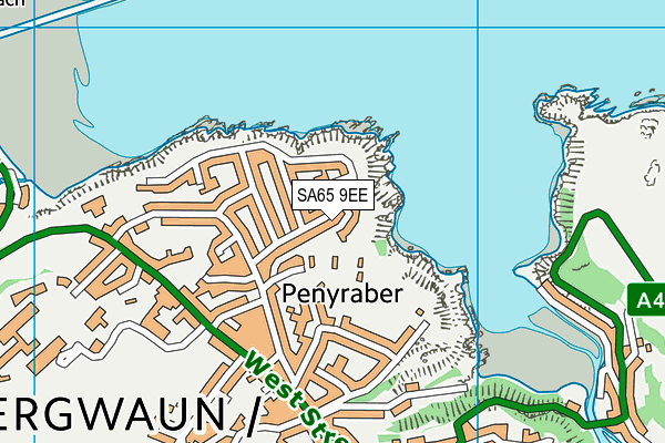 SA65 9EE map - OS VectorMap District (Ordnance Survey)