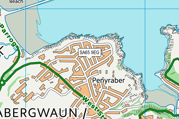 SA65 9EG map - OS VectorMap District (Ordnance Survey)