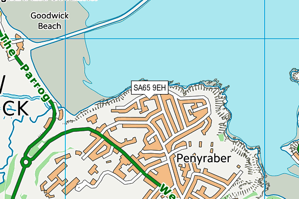 SA65 9EH map - OS VectorMap District (Ordnance Survey)