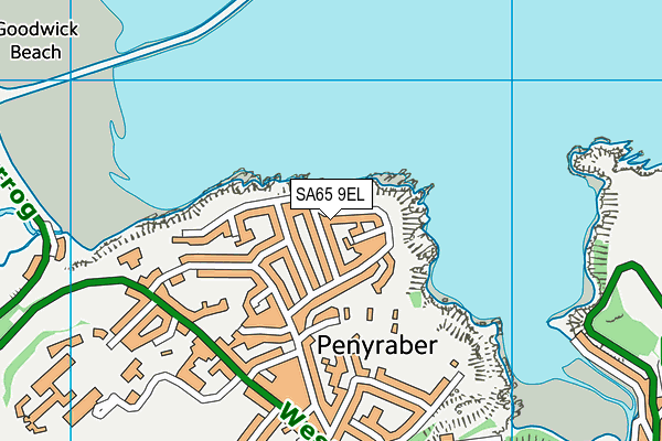 SA65 9EL map - OS VectorMap District (Ordnance Survey)
