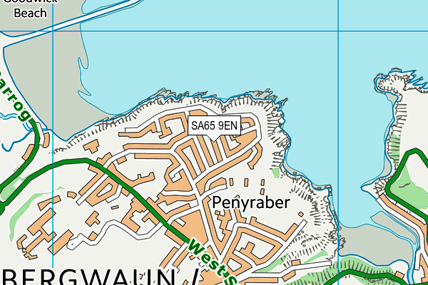 SA65 9EN map - OS VectorMap District (Ordnance Survey)