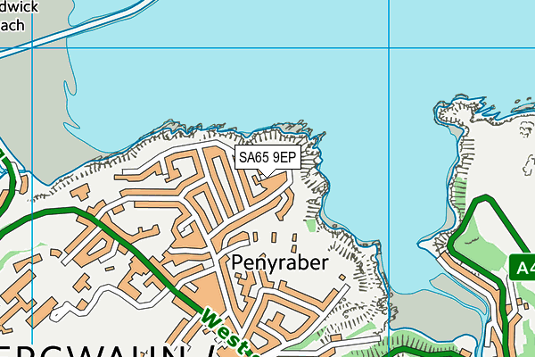 SA65 9EP map - OS VectorMap District (Ordnance Survey)