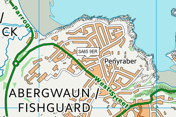 SA65 9ER map - OS VectorMap District (Ordnance Survey)