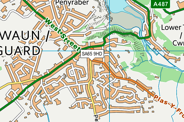 SA65 9HD map - OS VectorMap District (Ordnance Survey)