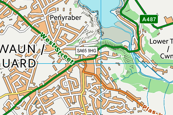 SA65 9HG map - OS VectorMap District (Ordnance Survey)