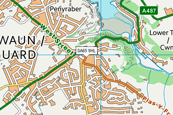 SA65 9HL map - OS VectorMap District (Ordnance Survey)