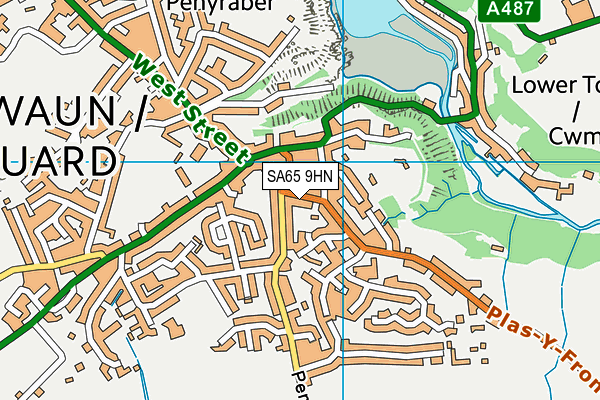 SA65 9HN map - OS VectorMap District (Ordnance Survey)