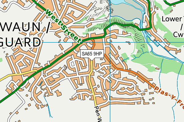 SA65 9HP map - OS VectorMap District (Ordnance Survey)