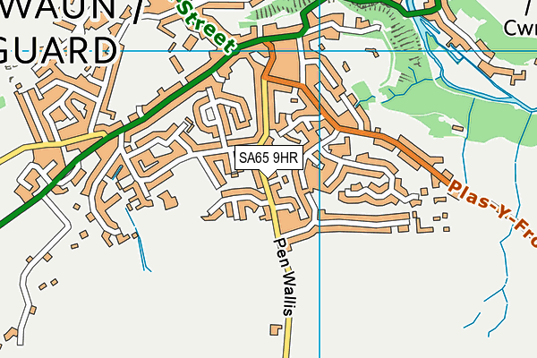 SA65 9HR map - OS VectorMap District (Ordnance Survey)