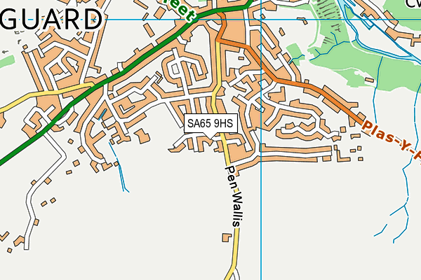 SA65 9HS map - OS VectorMap District (Ordnance Survey)