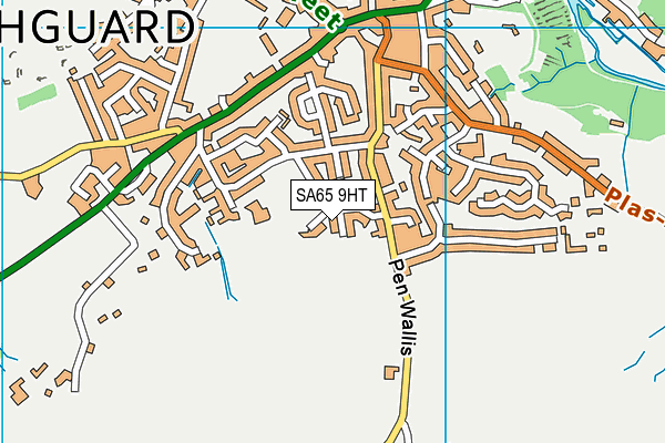 SA65 9HT map - OS VectorMap District (Ordnance Survey)