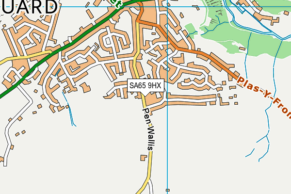 SA65 9HX map - OS VectorMap District (Ordnance Survey)