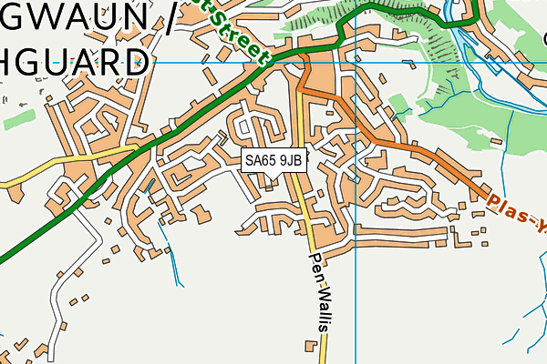 SA65 9JB map - OS VectorMap District (Ordnance Survey)