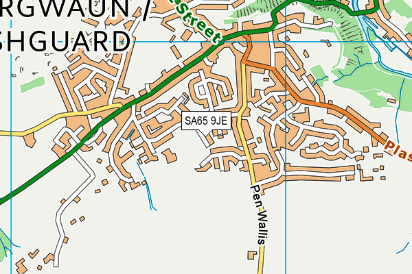SA65 9JE map - OS VectorMap District (Ordnance Survey)