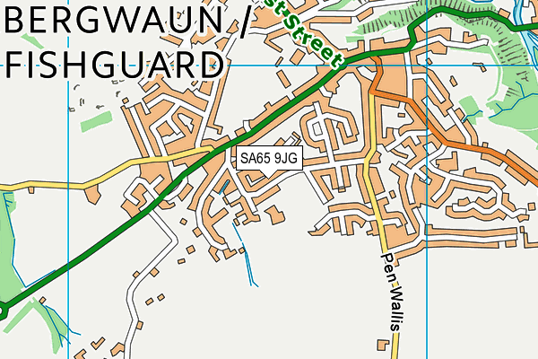 SA65 9JG map - OS VectorMap District (Ordnance Survey)