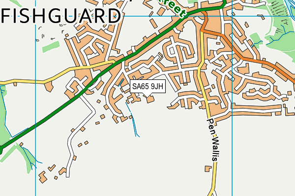 SA65 9JH map - OS VectorMap District (Ordnance Survey)