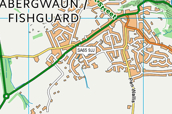 SA65 9JJ map - OS VectorMap District (Ordnance Survey)