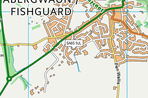 SA65 9JL map - OS VectorMap District (Ordnance Survey)