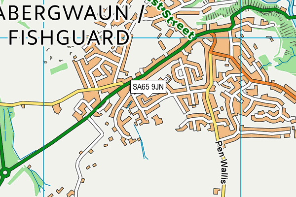 SA65 9JN map - OS VectorMap District (Ordnance Survey)