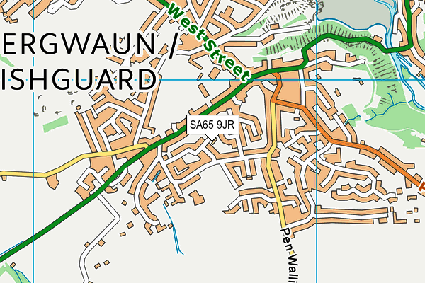 SA65 9JR map - OS VectorMap District (Ordnance Survey)