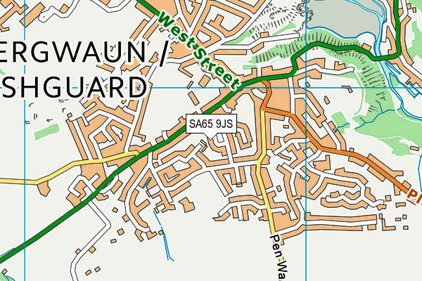 SA65 9JS map - OS VectorMap District (Ordnance Survey)