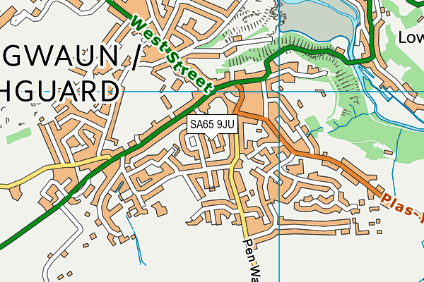 SA65 9JU map - OS VectorMap District (Ordnance Survey)