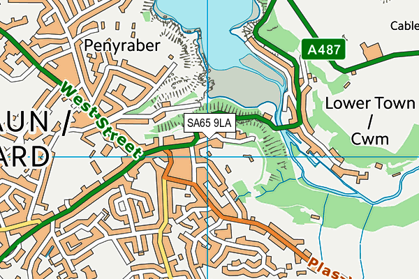 SA65 9LA map - OS VectorMap District (Ordnance Survey)