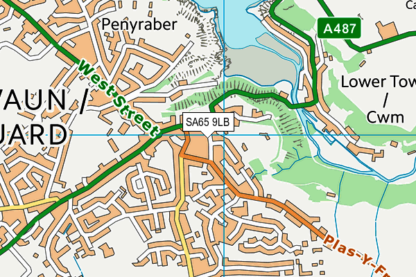 SA65 9LB map - OS VectorMap District (Ordnance Survey)