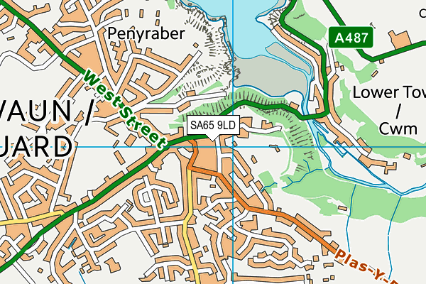 SA65 9LD map - OS VectorMap District (Ordnance Survey)