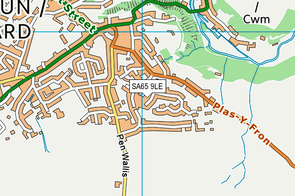 SA65 9LE map - OS VectorMap District (Ordnance Survey)