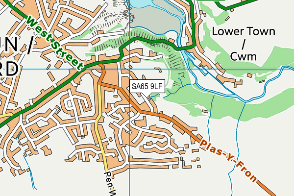 SA65 9LF map - OS VectorMap District (Ordnance Survey)