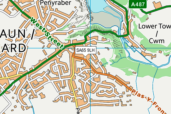 SA65 9LH map - OS VectorMap District (Ordnance Survey)